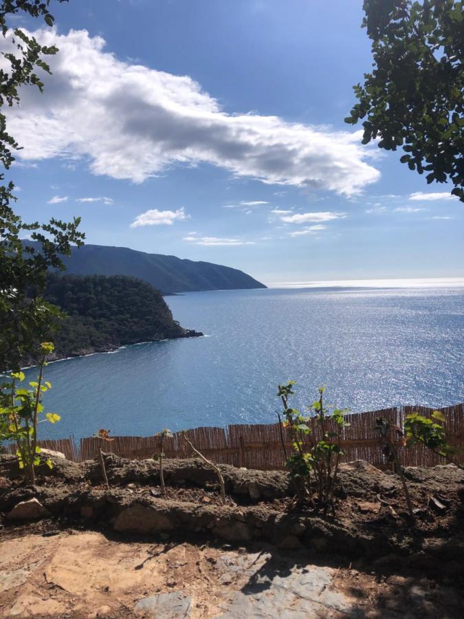 Kabak Uetopya Kamp Faralya Exterior foto